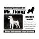 Mr Jiang 