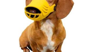 Silikónový náhubok