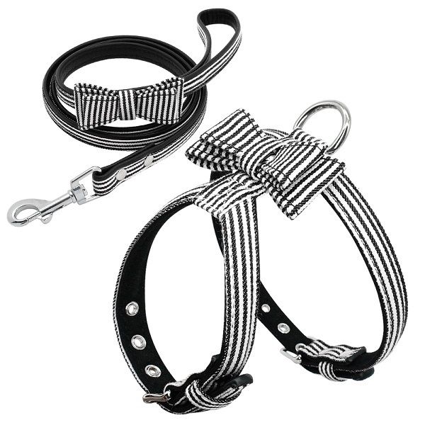 postroja s vodítkom